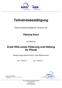 Zertifikat-1Hilfe-1